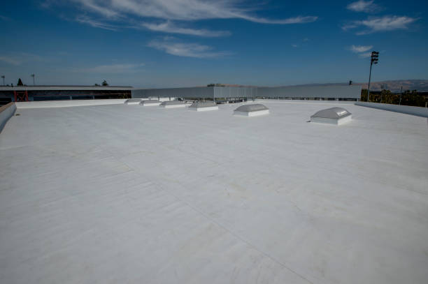 Best Roof Maintenance and Cleaning  in Logan, OH